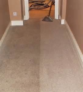 carpet cleaning lakewood ca