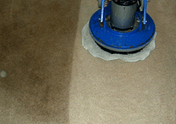 carpet cleaning lakewood ca